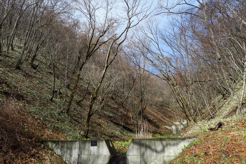 b0243727_1757161.jpg