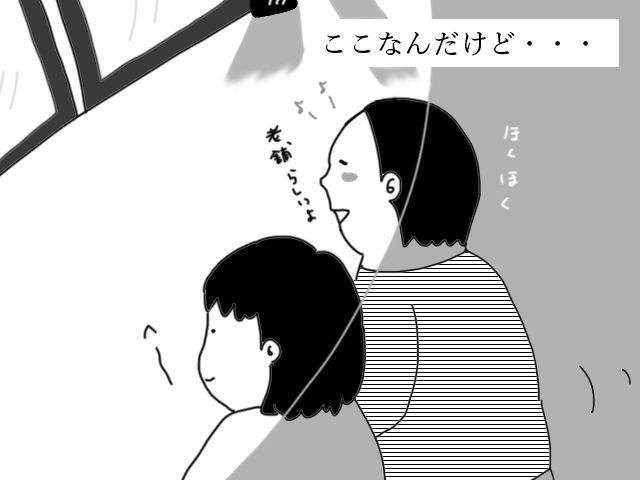 オープン_b0270130_11345435.png