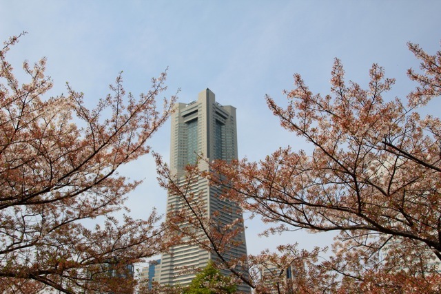 f0348831_14154201.jpg