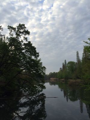 f0327534_10131777.jpg