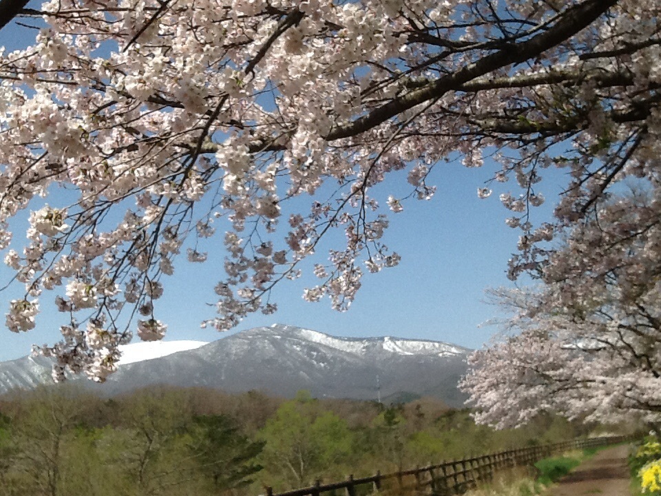 蔵王町 遠刈田温泉の、春です！_a0324639_20225452.jpg