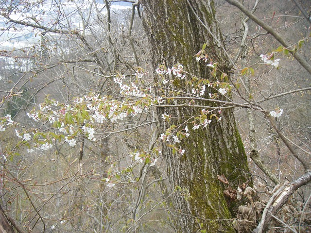 e0146841_16043415.jpg