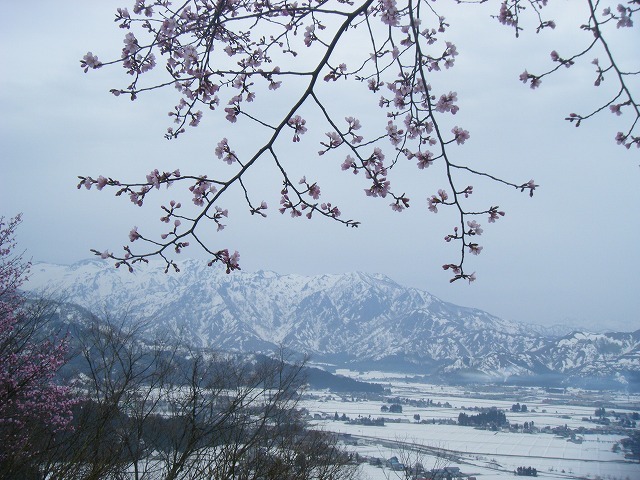 e0146841_16045588.jpg