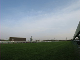 a0019747_3161515.gif