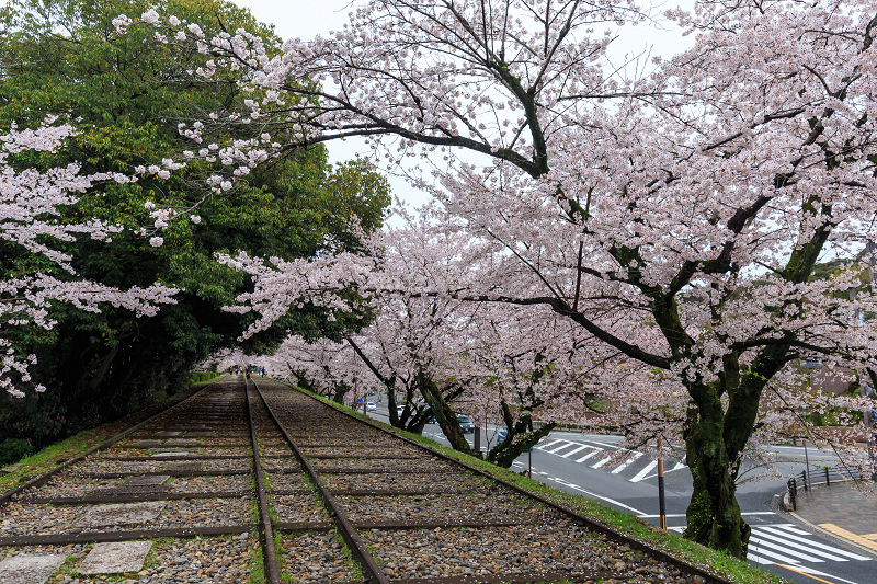 蹴上インクライン・桜並木_f0155048_021334.jpg