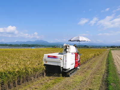砂田米 れんげの花が今年も順調に咲きました!七城町砂田のこだわりれんげ米ですよ!!_a0254656_178368.jpg