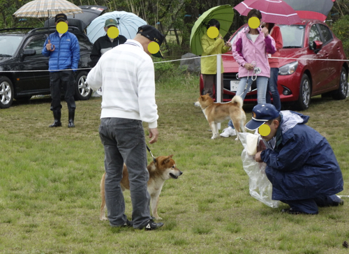 ディスクドッグ・セミナーと日本犬保存会_d0238057_20181626.jpg