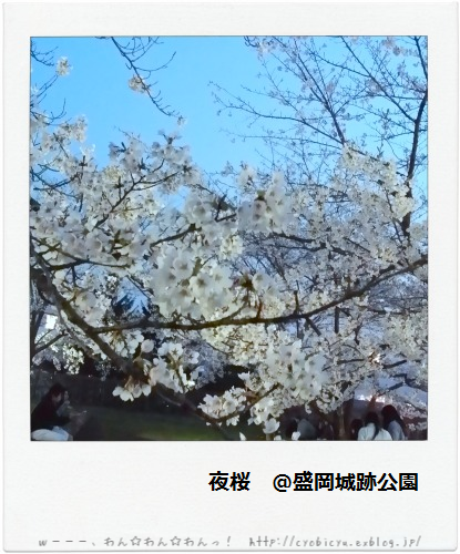 b0112758_17555984.png