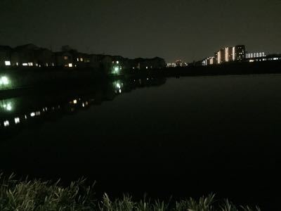 暖かい夜なので、散歩しながら_b0185359_23115959.jpg