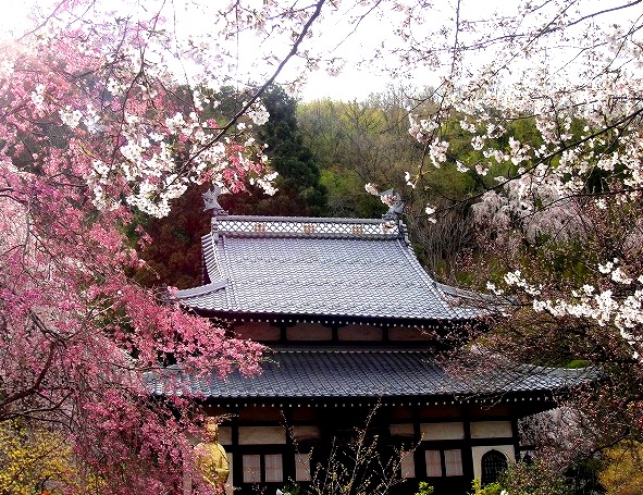 c0119160_72752.jpg