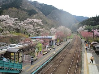 わたらせ渓谷鉄道にて　パート２☆☆☆_d0045362_23424332.jpg