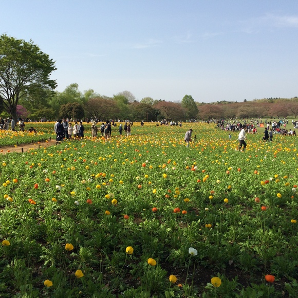 仕事で行った場所で撮影（スマホ写真）_f0298864_1721194.jpg