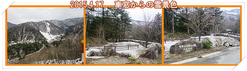 a0052666_21464261.jpg