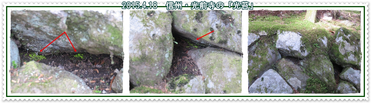 a0052666_2156051.jpg