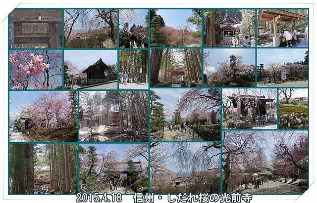 a0052666_22131195.jpg