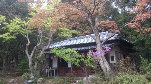 芽吹の楽庵2015_c0122270_22200188.jpg