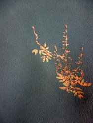 b0159571_9202328.png