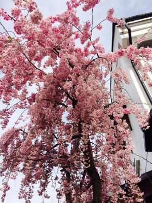 昨日と今日のこと。_d0037074_21561729.jpg