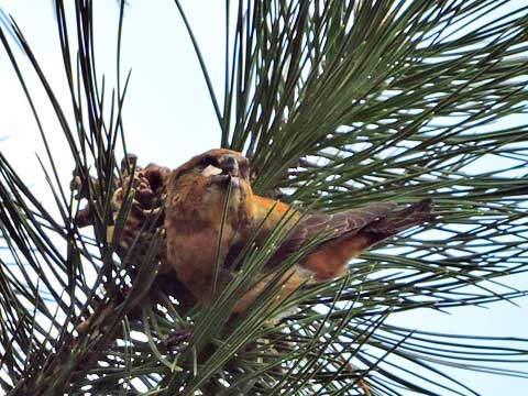 f0083977_20464120.jpg