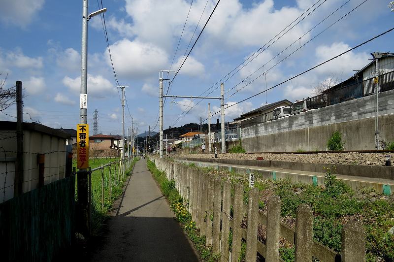 c0313378_16324156.jpg