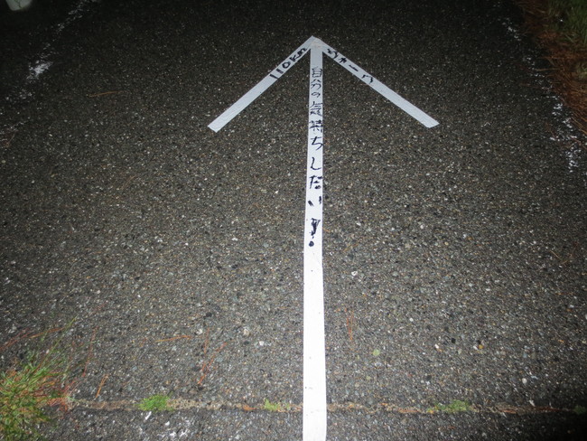 e0294183_21474718.jpg