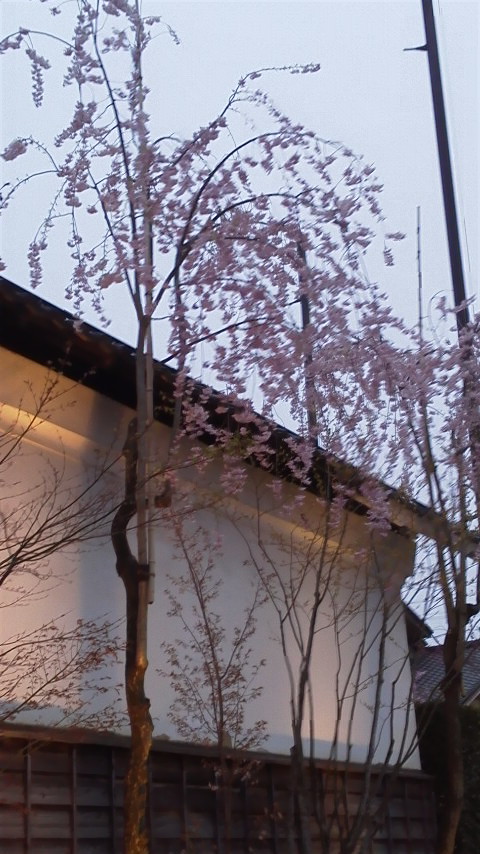 b0184584_1817836.jpg