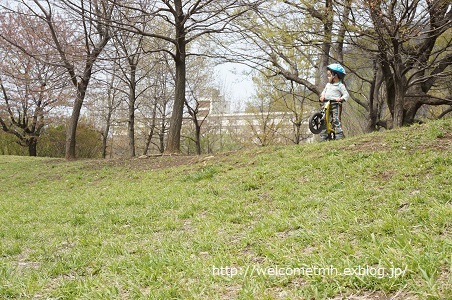 自転車でストライダーを運ぶ_c0365584_06521979.jpg