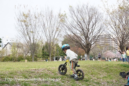 自転車でストライダーを運ぶ_c0365584_07250102.jpg