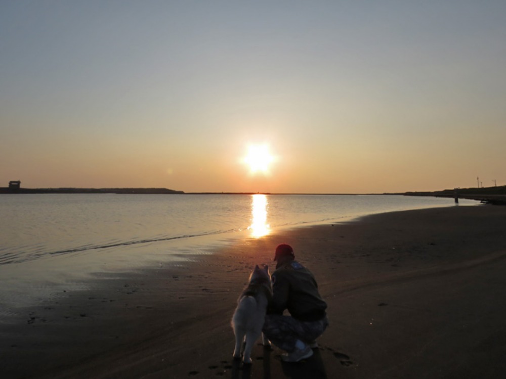 c0049299_22151774.jpg