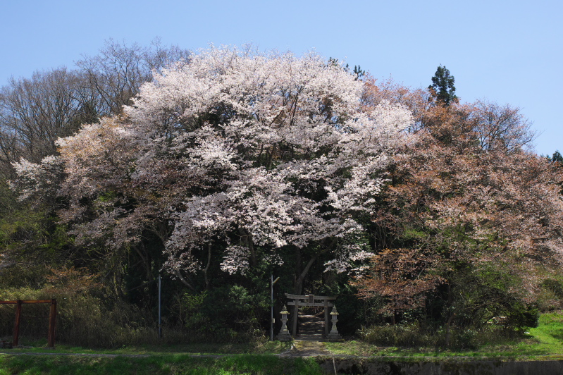 c0043403_212915.jpg