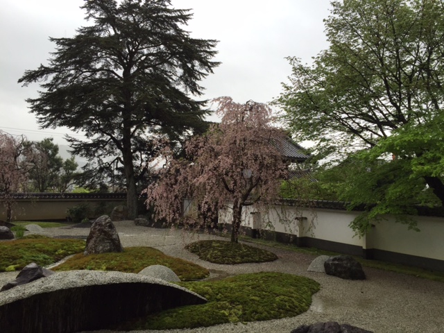 床みどり～京都岩倉実相院_d0131804_2313619.jpg