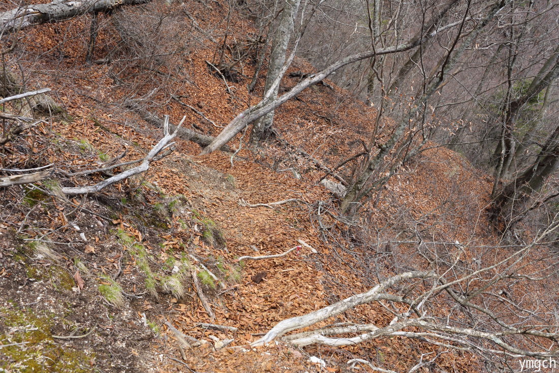 f0157812_21463198.jpg