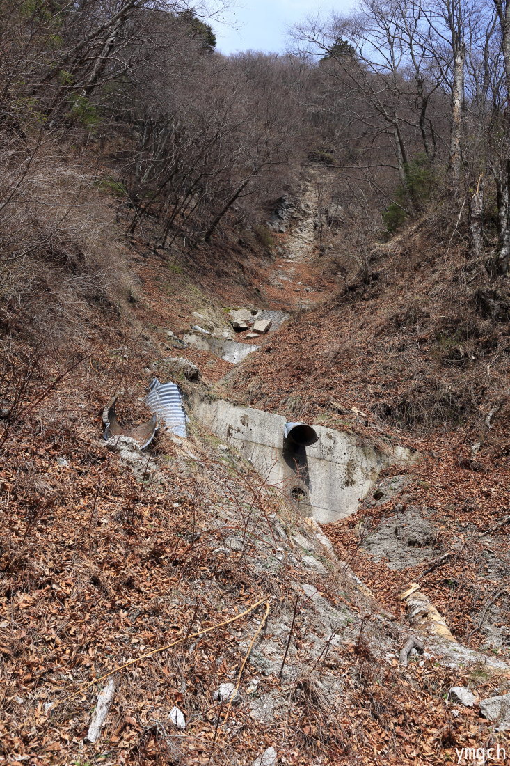 f0157812_22231739.jpg