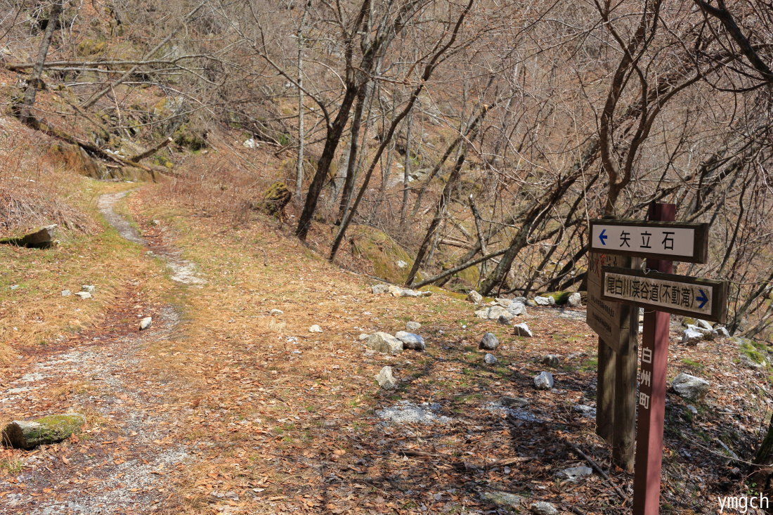 f0157812_22231776.jpg