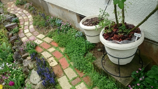 e0263224_14241749.jpg