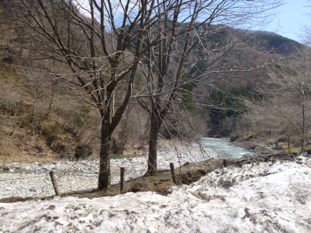 a0285330_2335431.jpg