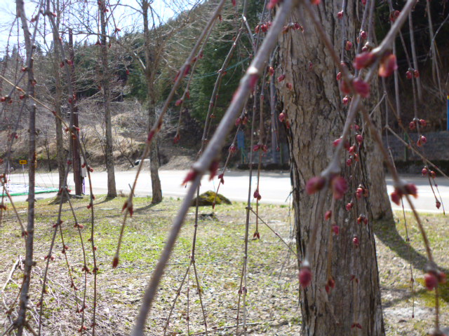 a0285330_2361328.jpg