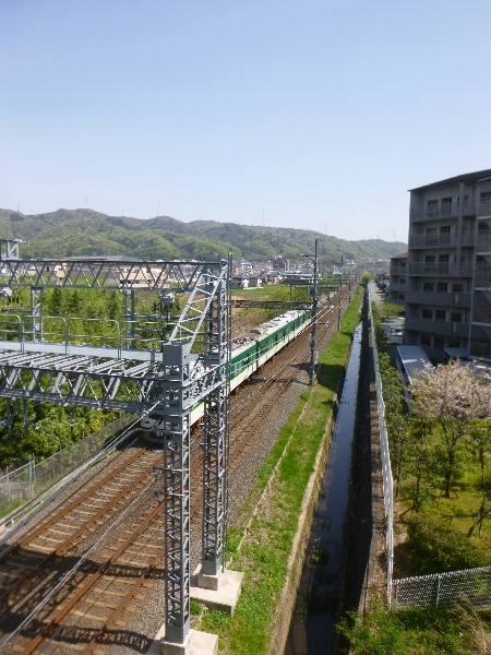 c0113733_072059.jpg