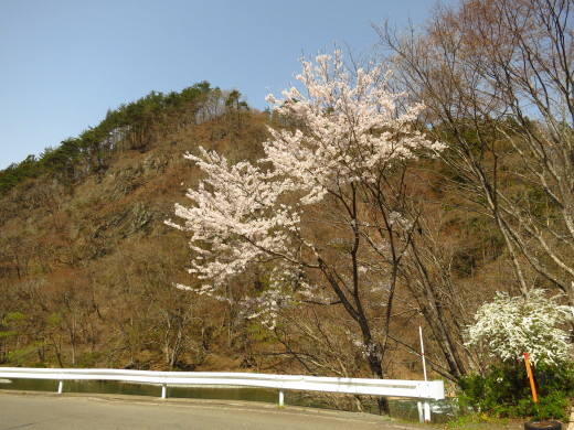 春の陽だまりにて_b0206037_13151065.jpg