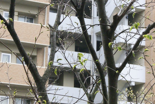 c0298740_23301835.jpg