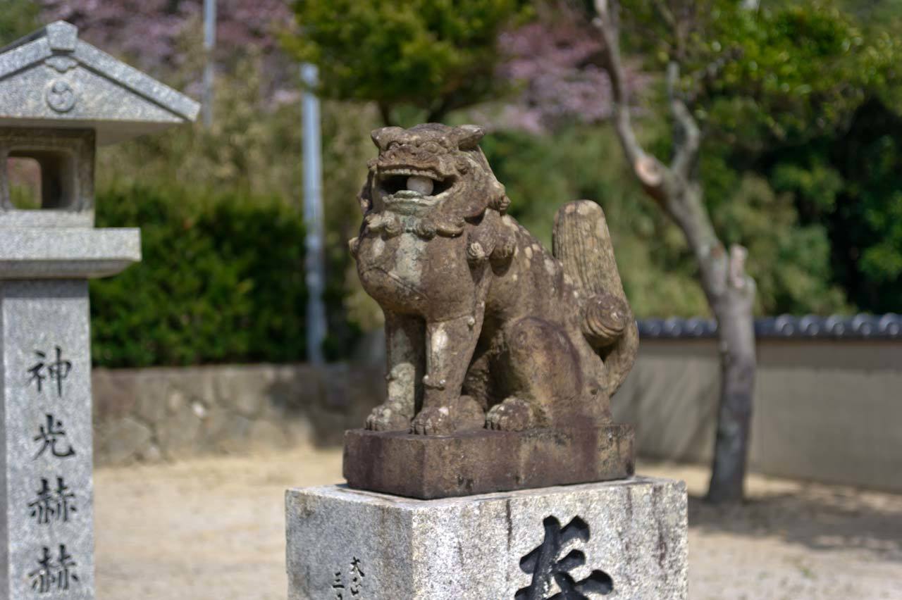 綿津見神社　福岡県糟屋郡新宮町湊_b0023047_05194552.jpg