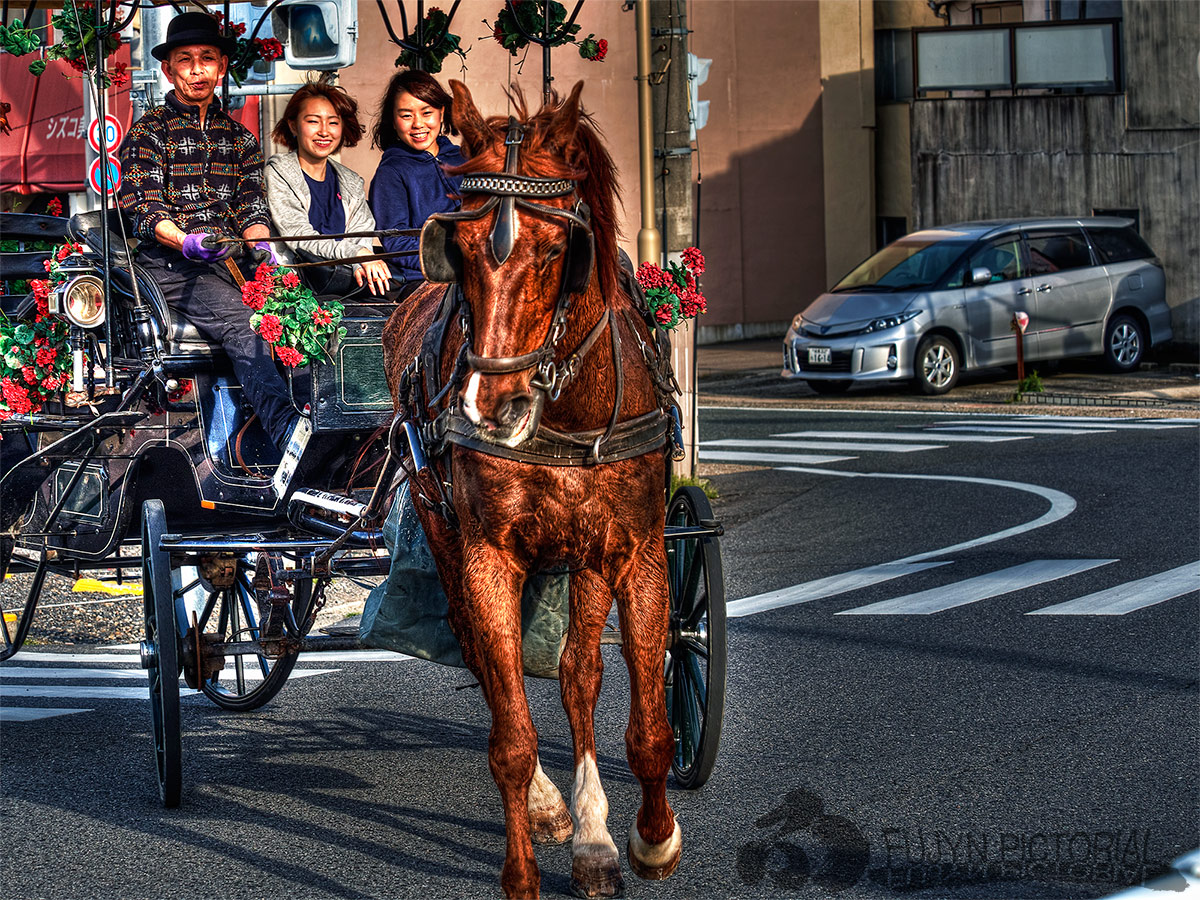 花馬車_b0135347_23593042.jpg