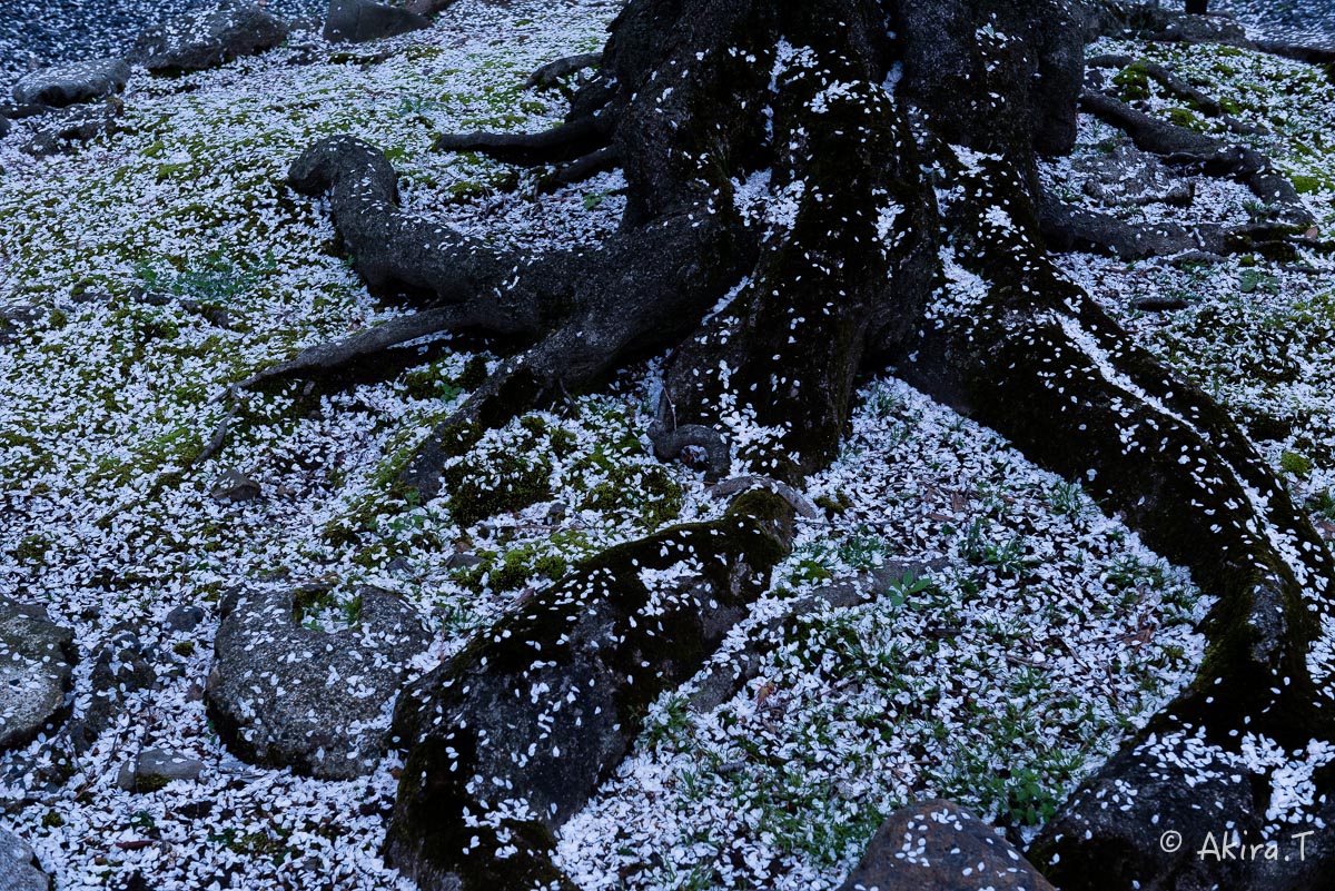 f0152550_22454935.jpg