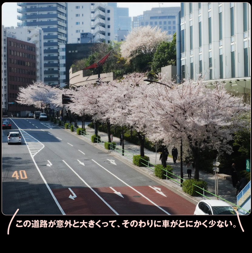 c0354952_21523975.jpg