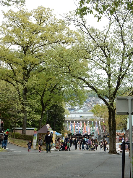 　　　　　　　　　　　　　　　　　多摩動物公園　２_d0075453_1201032.jpg