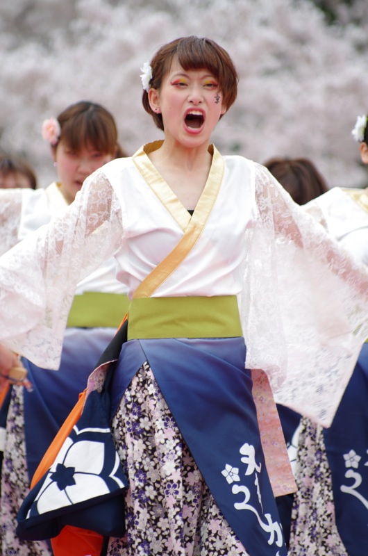 京都さくらよさこい２０１５一日目その１８（京炎そでふれ！京小町その２）_a0009554_2381253.jpg