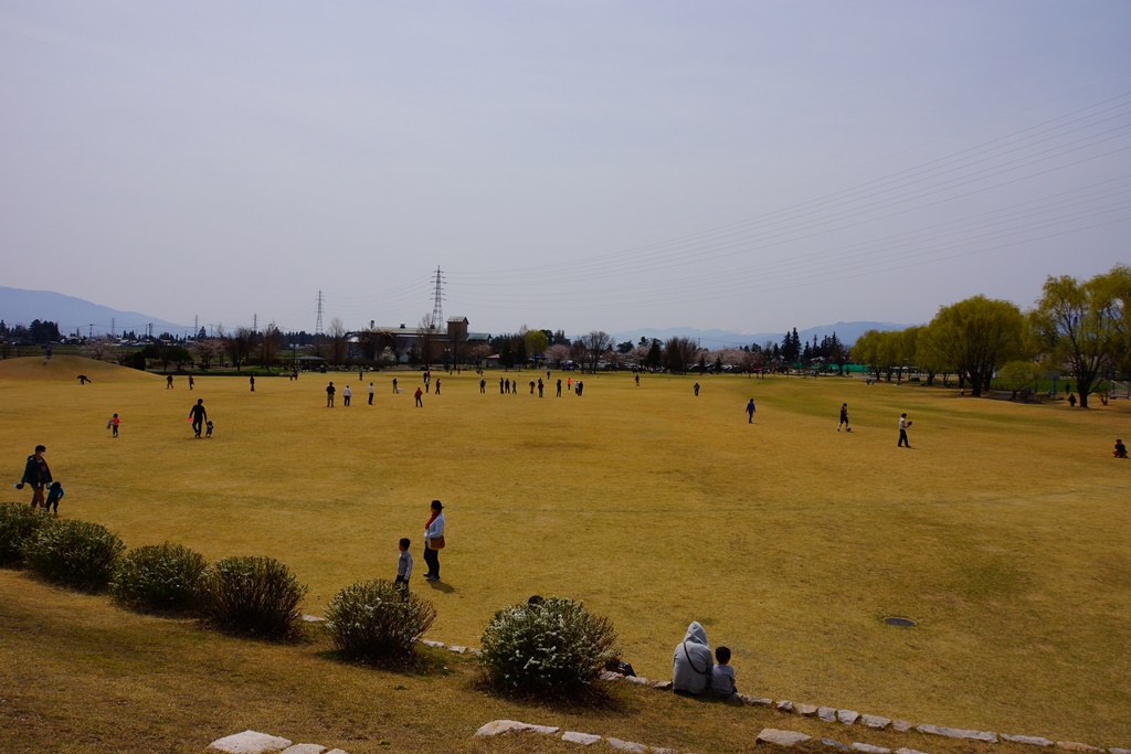 flowers & park（長野県安曇野市　早春の花々と公園）_e0223456_106443.jpg