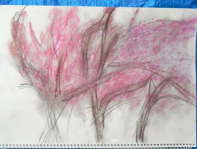 八重桜で写生会_d0076558_60629.jpg