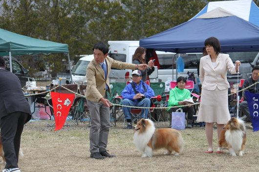 コリークラブ特別展2015_f0126965_1525186.jpg