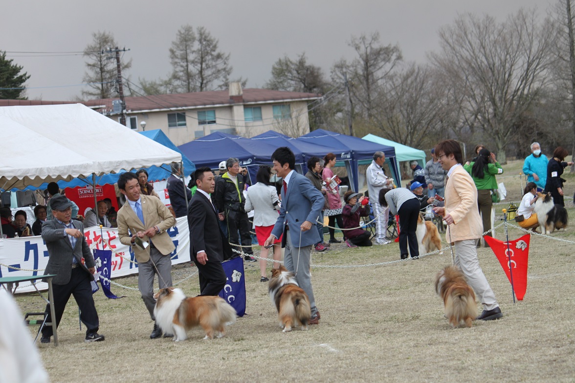 コリークラブ特別展2015_f0126965_15272449.jpg